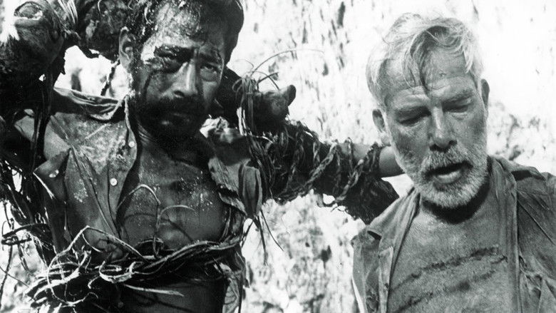 кадр из фильма Ад в Тихом океане