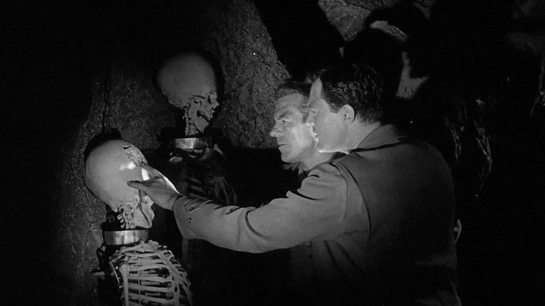 кадр из фильма Подземное население