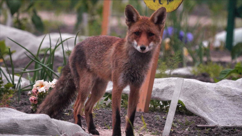 кадр из фильма De schooltuin