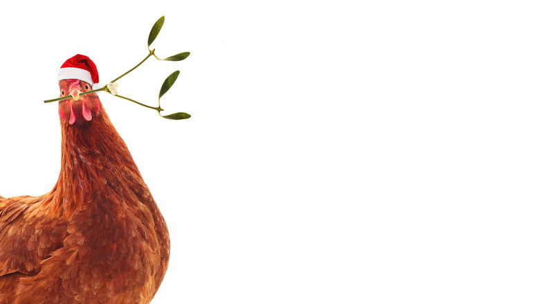 кадр из фильма Пернатое рождество