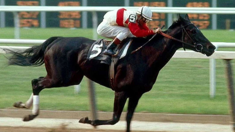 кадр из фильма Ruffian