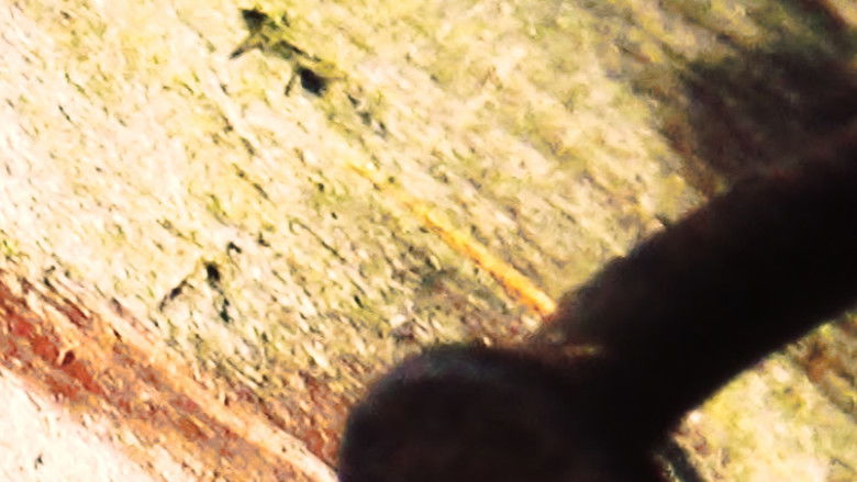 кадр из фильма Inspection 01