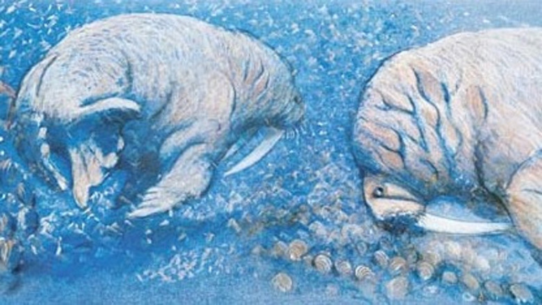 кадр из фильма Могучая река