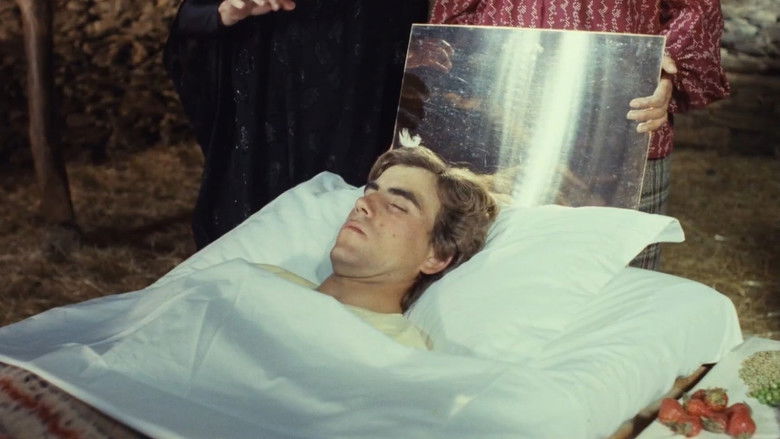 кадр из фильма Песчаная роза