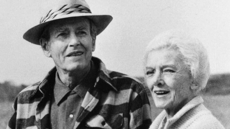 кадр из фильма Summer Solstice