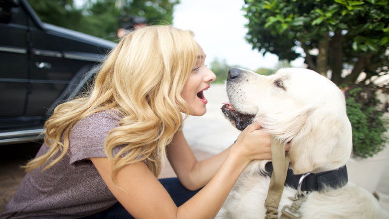 кадр из фильма Love for All Seasons