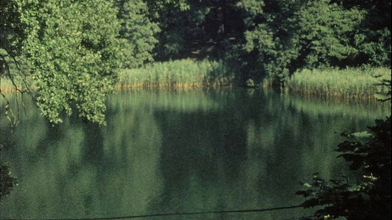 кадр из фильма Kopfüber im Geäst