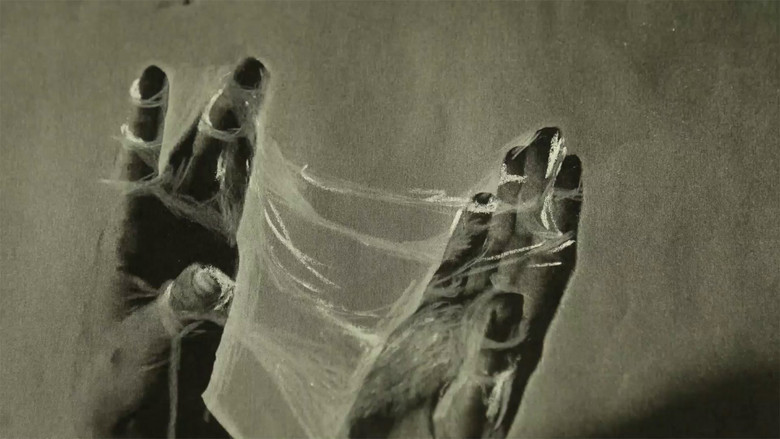 кадр из фильма You Are the Truck and I Am the Deer