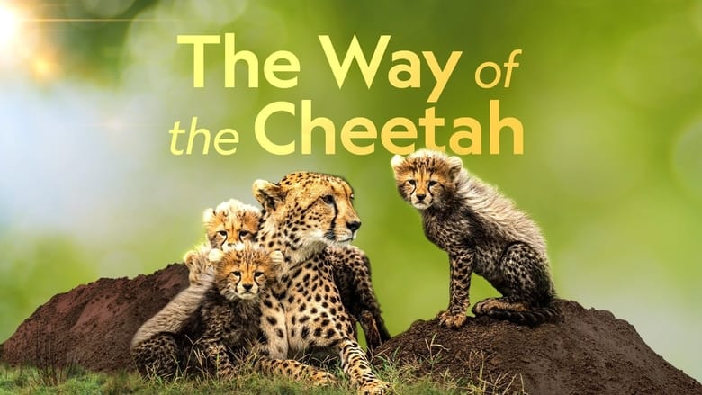 кадр из фильма The Way of the Cheetah