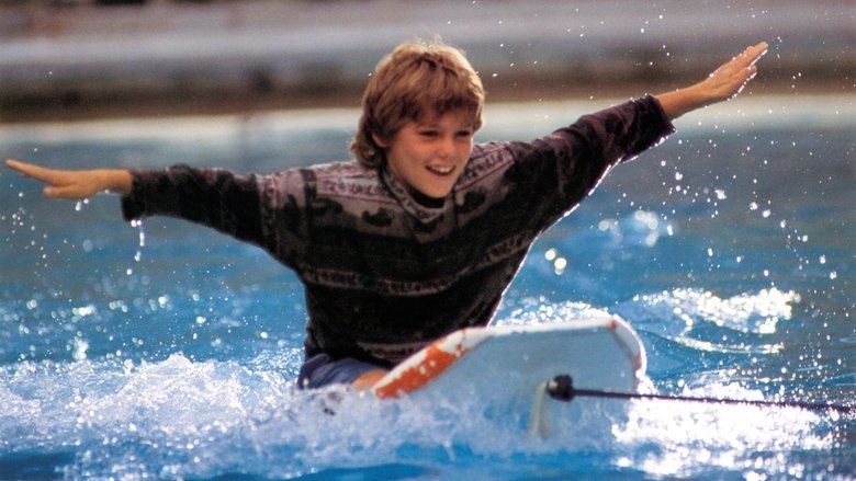 кадр из фильма Освободите Вилли