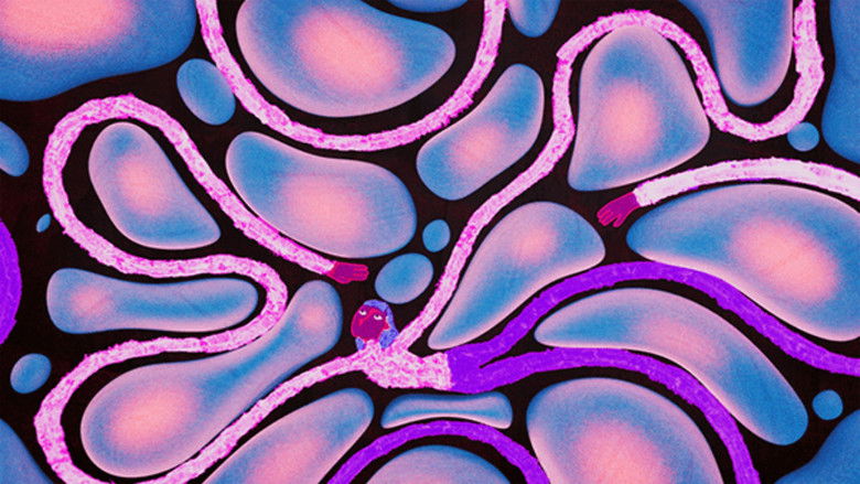 кадр из фильма Diafonie