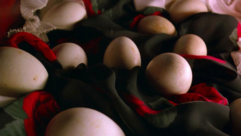 кадр из фильма Летите домой