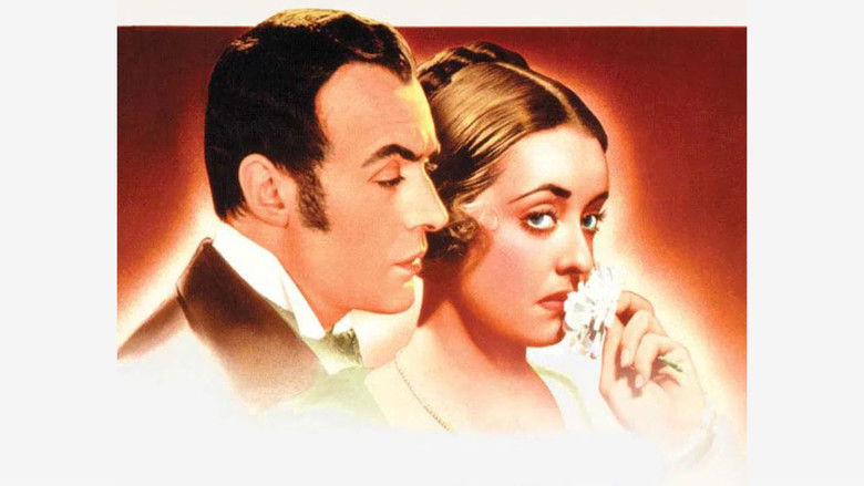 кадр из фильма Все это и небо в придачу