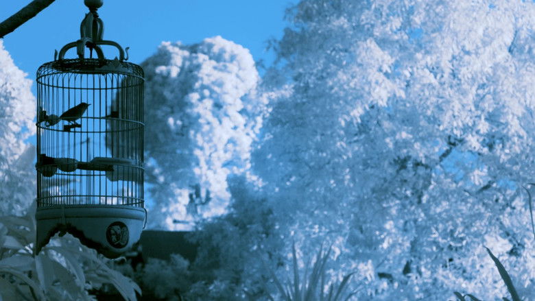 кадр из фильма Idak-Idak-Idak