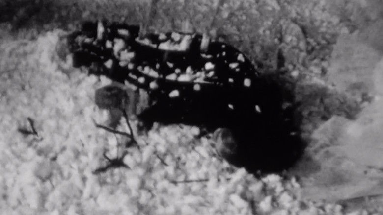 кадр из фильма Spring and Winter