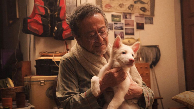 кадр из фильма โกฮัง..หัวใจโกโฮม