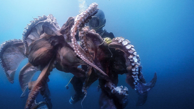 Старый морпех