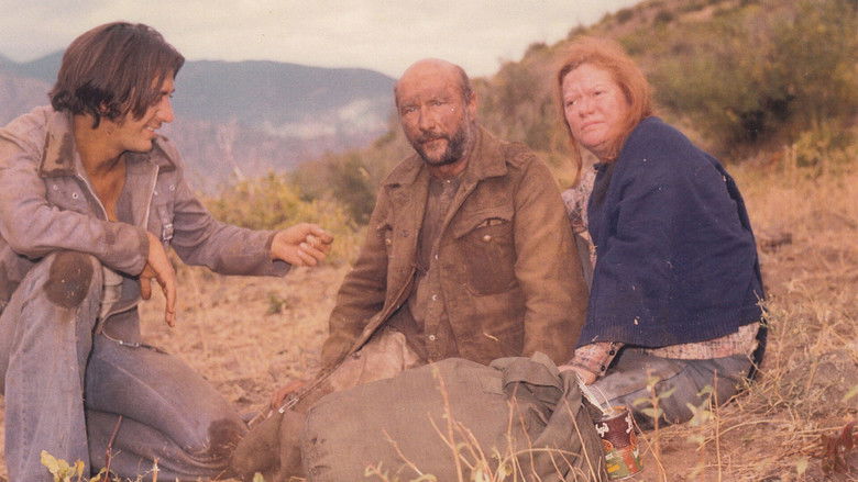 кадр из фильма The Rainbow Boys