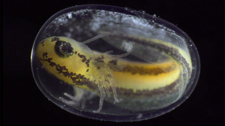 кадр из фильма Becoming