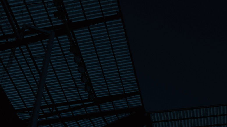 кадр из фильма Conference of the Birds