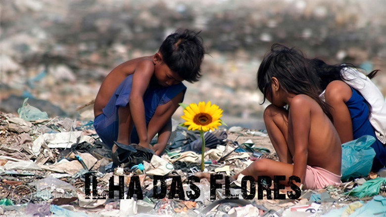кадр из фильма Ilha das Flores