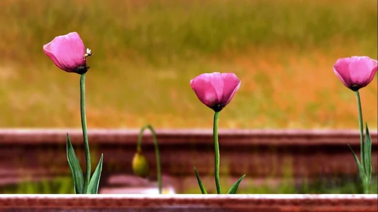 кадр из фильма Living a Different Life