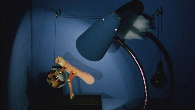 кадр из фильма The Mystical Rose