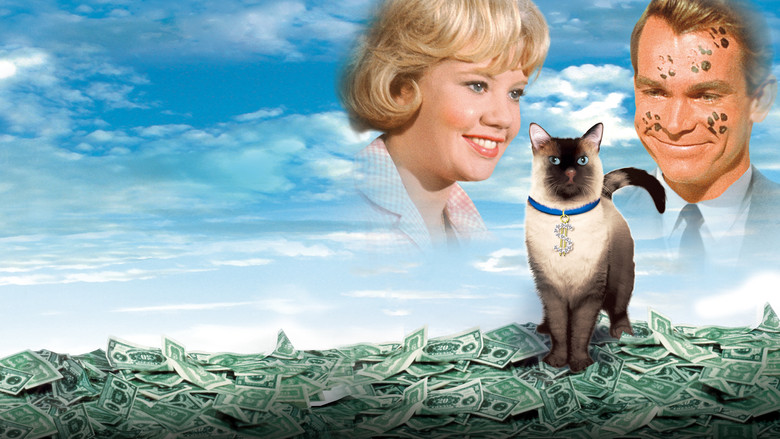 кадр из фильма Эта дикая кошка