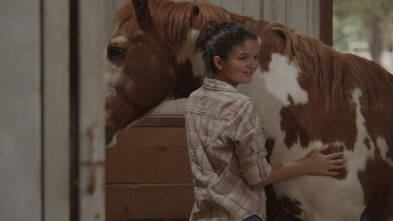 кадр из фильма Лошадь Чарли
