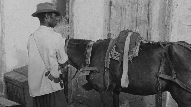 кадр из фильма Borom sarret