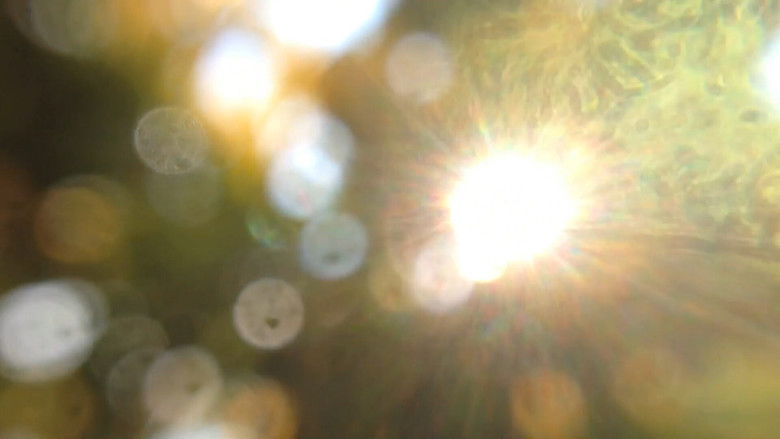 кадр из фильма La tierra aún se mueve