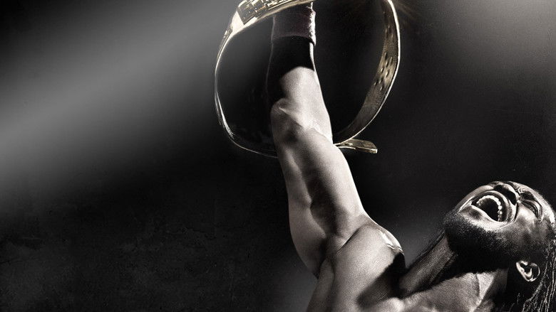 кадр из фильма WWE Night of Champions 2013