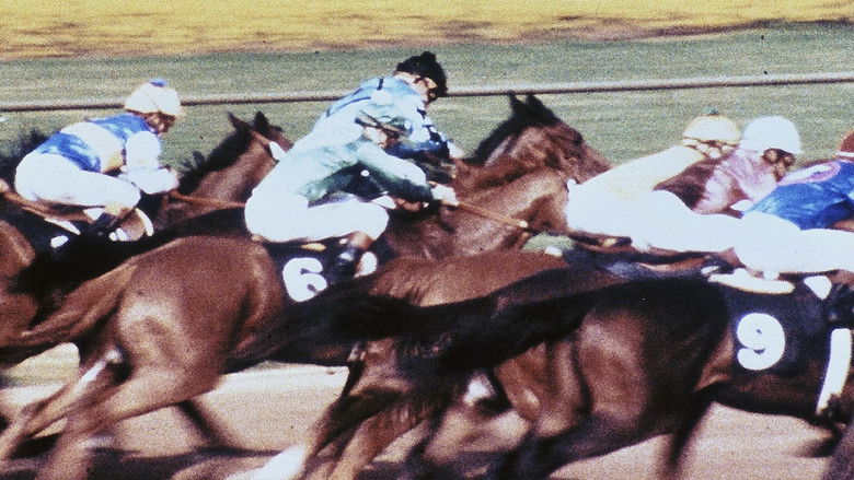 кадр из фильма The Bluegrass Special