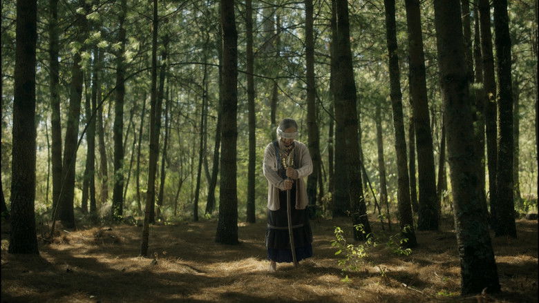 кадр из фильма Sacrificio