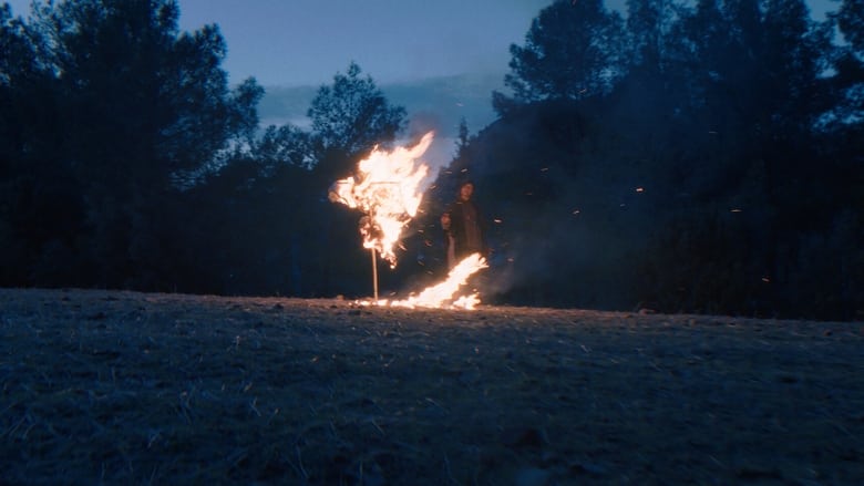 кадр из фильма Мудрость кита