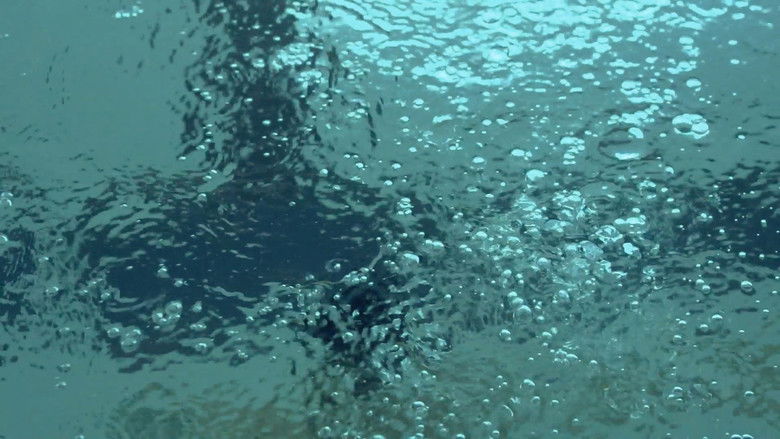 кадр из фильма Swimming