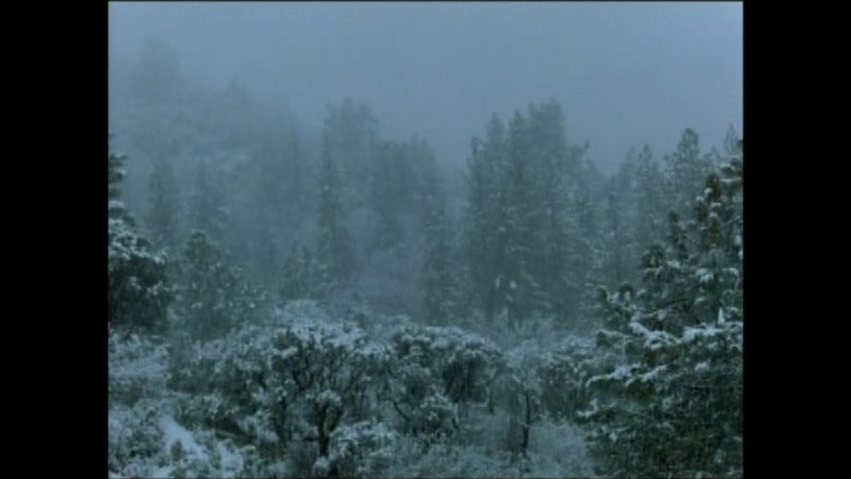 кадр из фильма Pine Flat