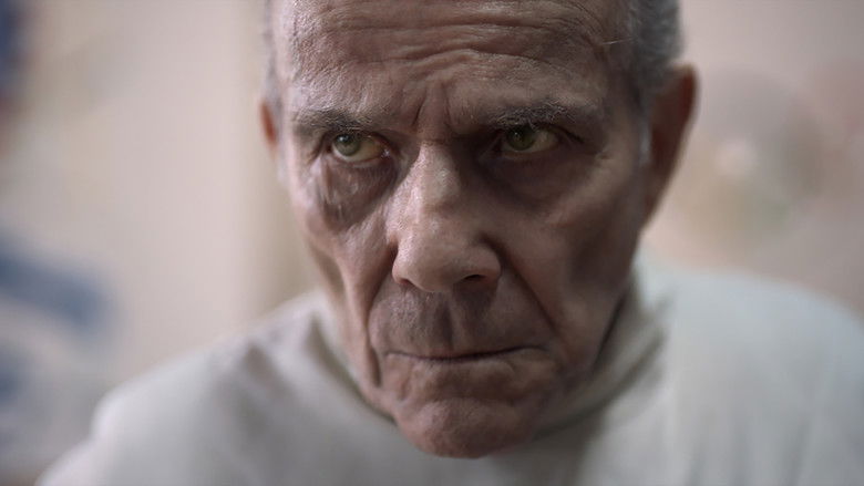 кадр из фильма The Light Side