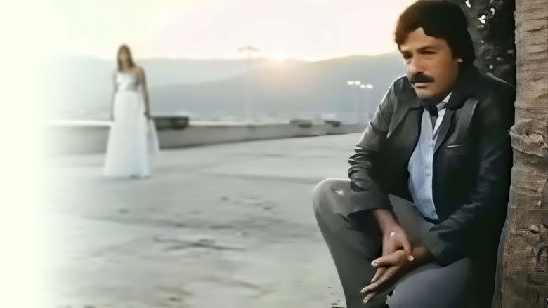 кадр из фильма Olmaz Olsun