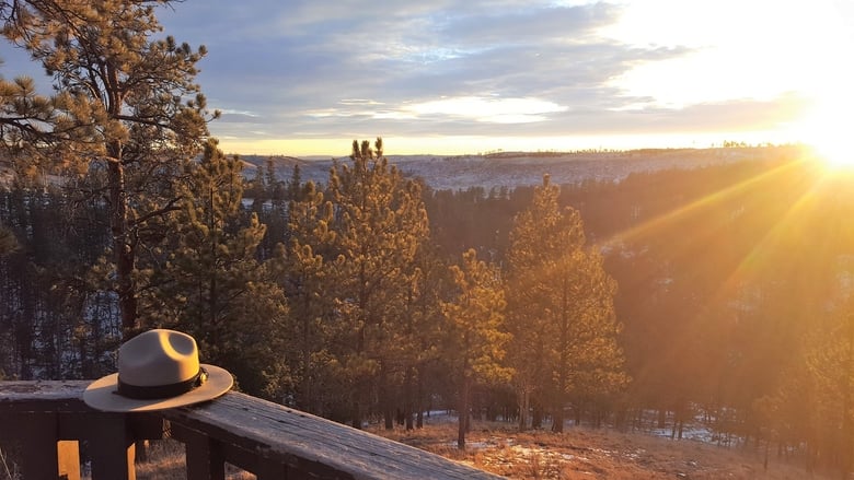 кадр из фильма Driftless