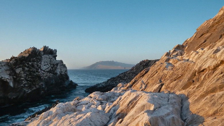 кадр из фильма My Mercury