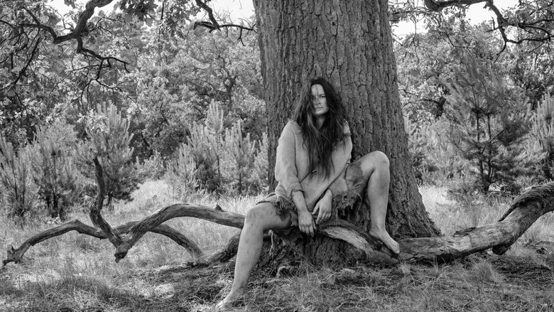 кадр из фильма Раскрашенная птица