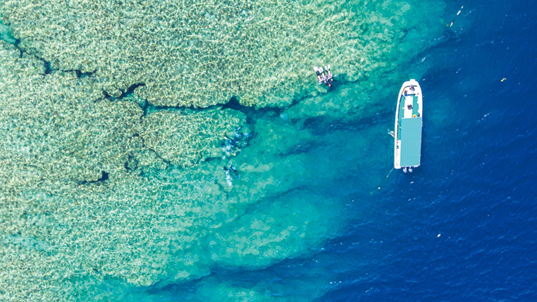 кадр из фильма 空旅・沖縄～癒しのドローン遊覧