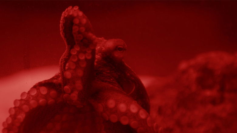 кадр из фильма Futuro Futuro