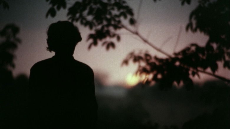 кадр из фильма പോക്കുവെയിൽ