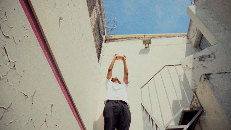 кадр из фильма Cómo descongelar un pollo en 5 minutos