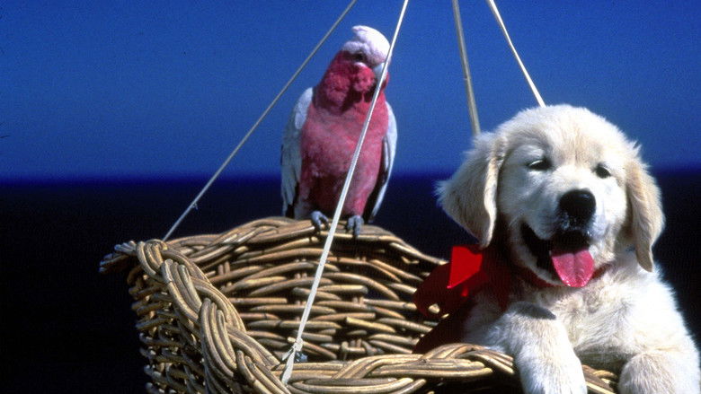 кадр из фильма Napoleon