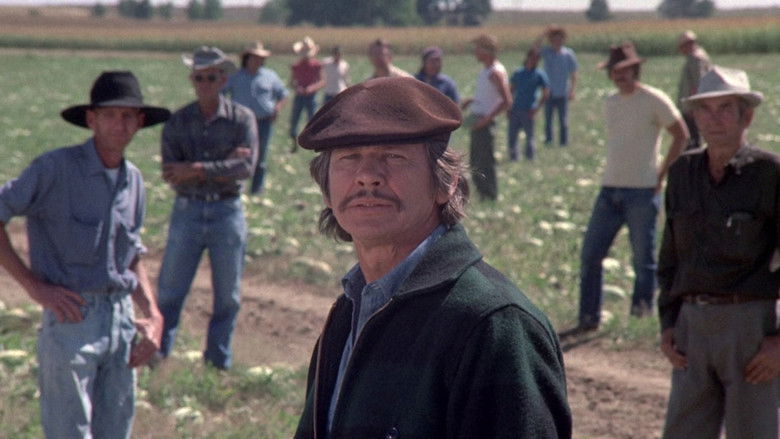 кадр из фильма Мистер Маджестик