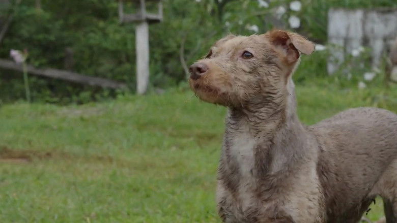 кадр из фильма Sobre o Luar