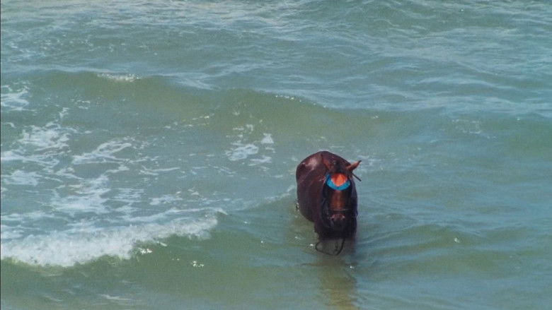 кадр из фильма Electrical Gaza